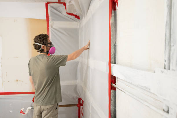 Best Commercial Mold Inspection  in Bridgeport, CT