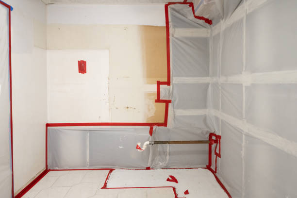 Best Mold Damage Restoration  in Bridgeport, CT