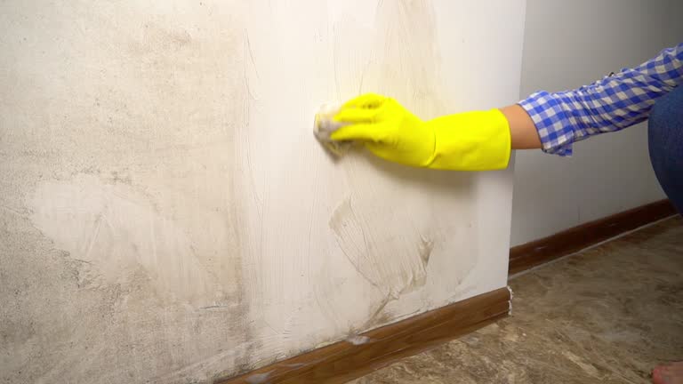 Best Airborne Mold Testing  in Bridgeport, CT