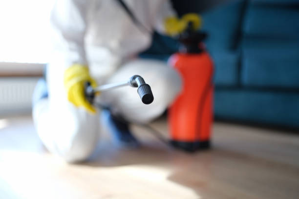 Best Mold Removal for HVAC Installations  in Bridgeport, CT