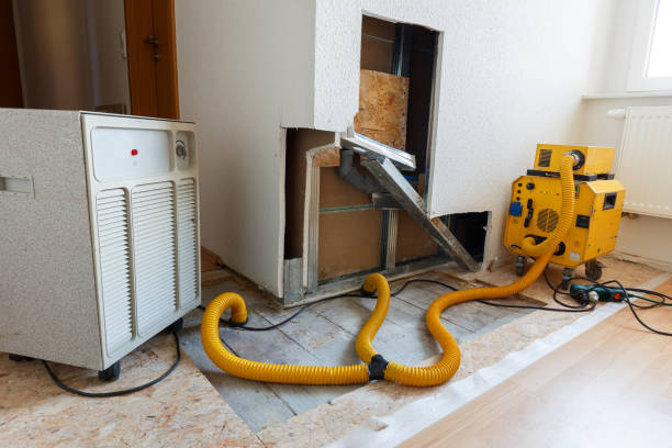 Best Emergency Mold Remediation  in Bridgeport, CT